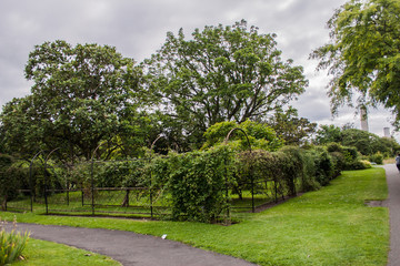 Giardino Botanico Dublino