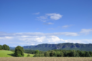 Affensteine