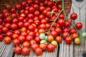 Cherry tomatoes on a  wooden background