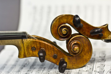 beautiful violin on a sheet music background © rubchikova