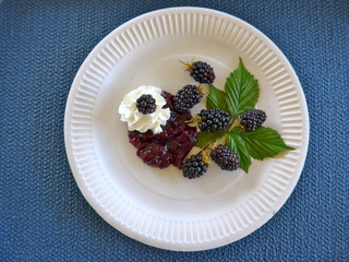Brombeerkompott  zum Dessert