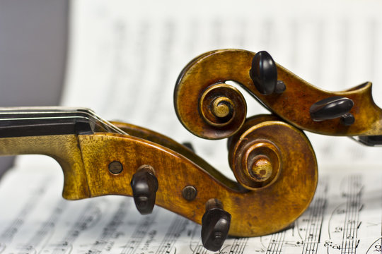 beautiful violin on a sheet music background
