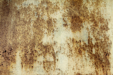 Grunge home background