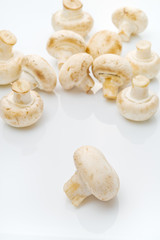 Fresh edible Portabello Mushroom Champignon over white backgroun