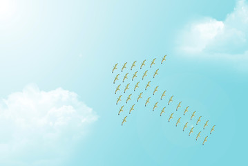 Flock of Seagulls forming Arrow Symbol © Bits and Splits