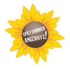 Angebote Sonnenblume