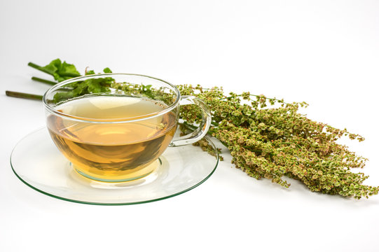 Sauerampfertee und frischer Sauerampfer