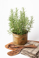 Rosemary