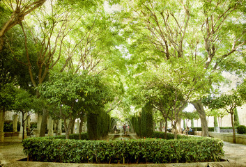 Park near cathedral de Mallorca - Stock Image