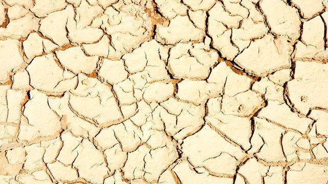 Tierra cuarteada para fondos y texturas