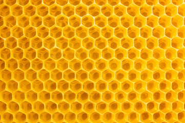 Honigwaben Hintergrund