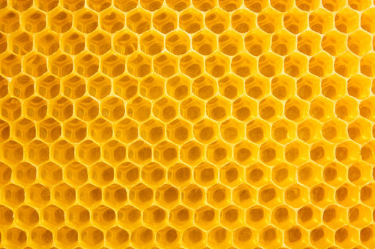 Honigwaben Hintergrund