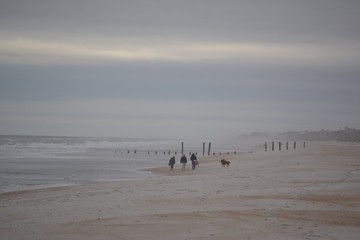 Fototapeta na wymiar Family Walking Dogs on Beach - Blustery Day