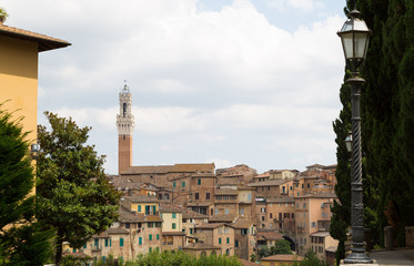 Fototapeta premium Piazza del Campo