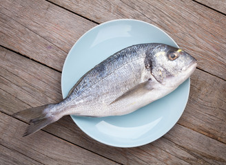 Fresh dorado fish
