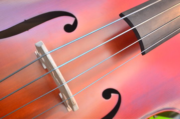 Saiteninstrumente