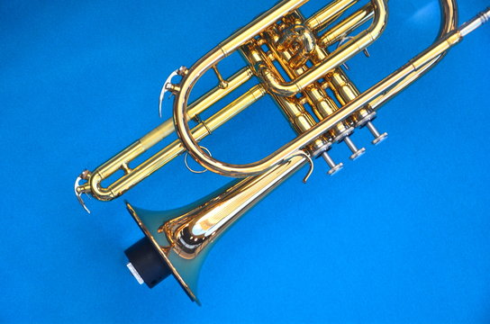 Blasinstrumente