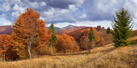 Fototapeta premium Beautiful Autumn in the mountains