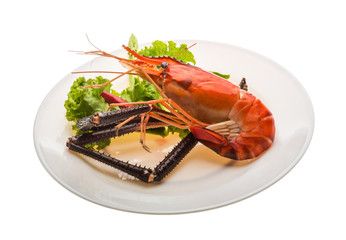 Giant Freshwater Prawn