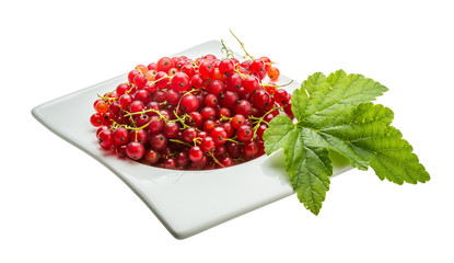 Red currant
