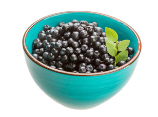 Blueberry