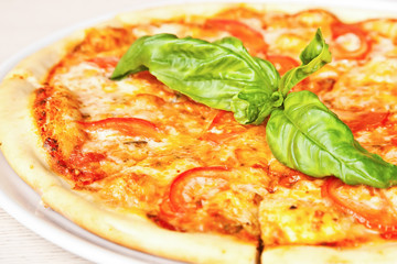 Tomato basil pizza
