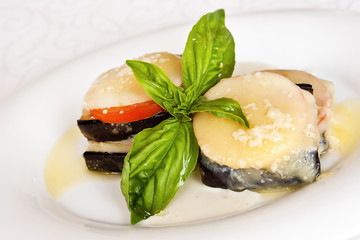 Eggplant starter