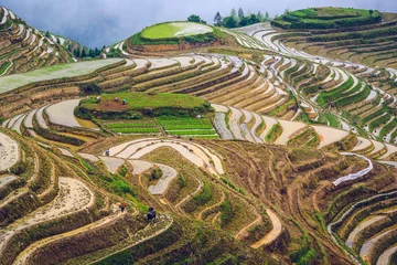 Deurstickers Rijstterrassen in Guilin, provincie Guangxi, China © SeanPavonePhoto