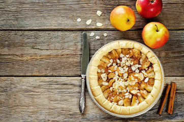 Apple pie with cinnamon