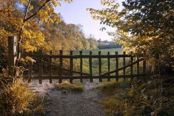 Lovely old gate into countryside field Autumn landscape