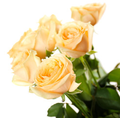 Bouquet of beautiful roses isolated on white
