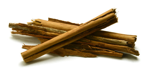 Cinnamomum verum Ceylon-Zimtbaum Cannelier de Ceylan