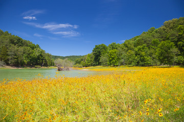 Fototapeta premium Panther Creek State Park