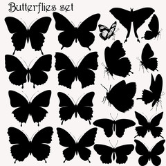Collection of butterflies vector silhouettes