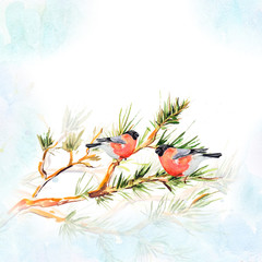 Obraz na płótnie Canvas watercolor drawing of bird