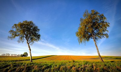 Krajobraz wiejski © janmiko