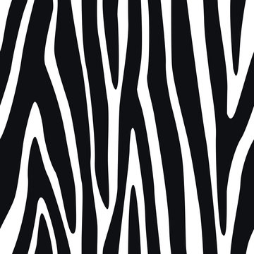 Zebra Stripes Seamless Pattern 3