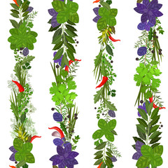 seamless border of collection herbs and spices