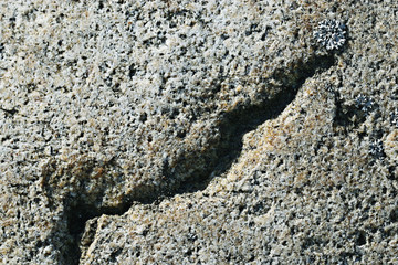 texture of granite stone