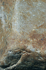 texture of granite stone