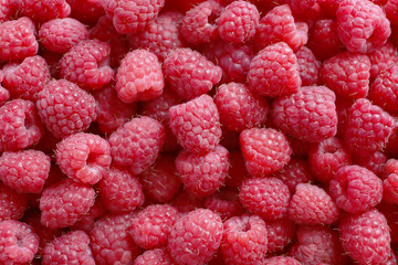 Ripe sweet raspberries close-up