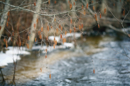 spring creek water landscape © kichigin19