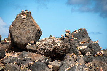 Stone pebbles stacked on the rocks in Aruba