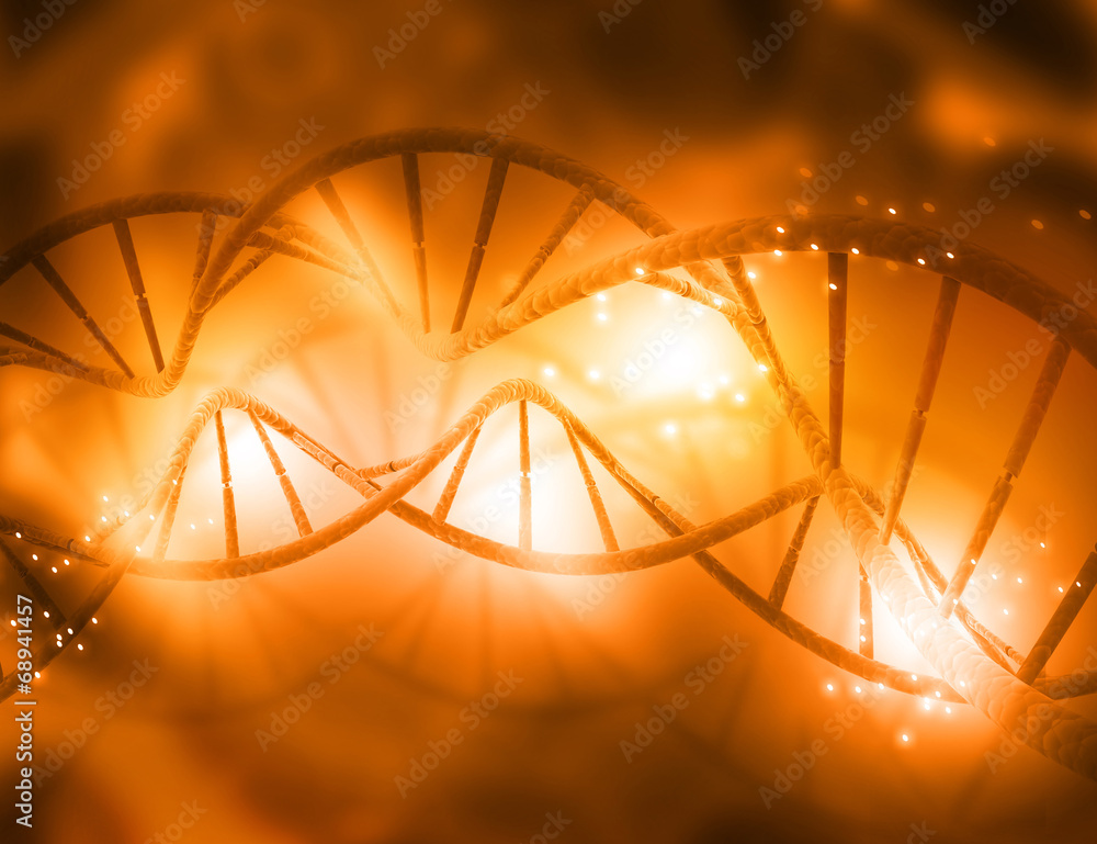 Wall mural dna structure..
