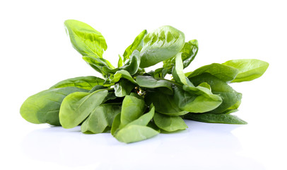 Tuft of fresh sorrel isolated on white