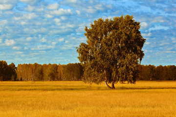 Fototapeta premium Landscape in red tones