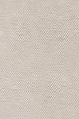 Artist Single Primed Cotton Duck Canvas Extra Coarse Grunge Text