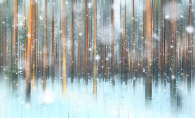 pine forest, winter, snow - obrazy, fototapety, plakaty