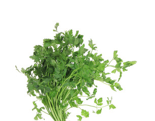 Obraz premium Bunch of parsley on a white.