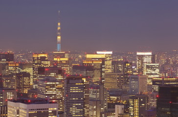 Tokyo cityscape and tokyo sky tree at night